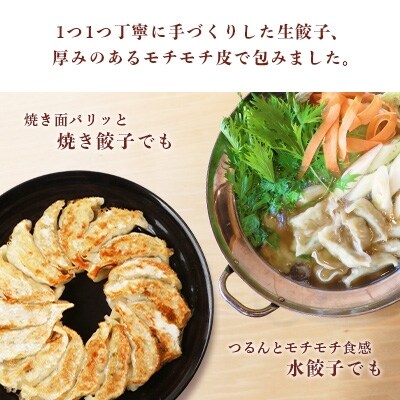 【ねぎ塩付き】鹿児島手づくり黒豚生餃子 20個×4パック【合計80個】 A3-319