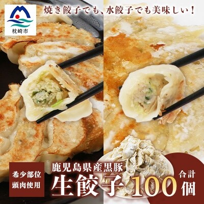 【ねぎ塩付き】鹿児島手づくり黒豚生餃子&野菜たっぷり生餃子 20個×5パック A3-320