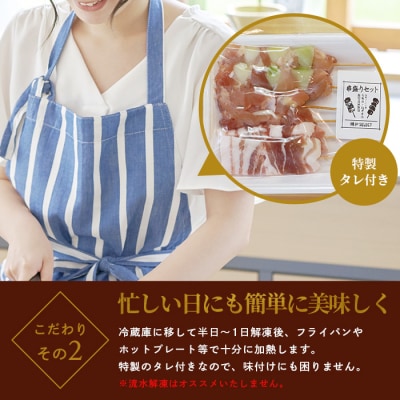 串盛セット(黒豚 豚バラ2本・桜島ゴールド鶏もも2本・ねぎま2本)×3 タレ付き  A3-324