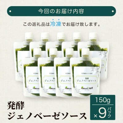 【お中元】発酵ジェノベーゼソース(150g×9個)【発酵のうまみ】【鹿児島県枕崎産】C0-67C