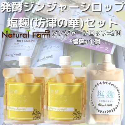 発酵ジンジャーシロップ&塩麹A7-11