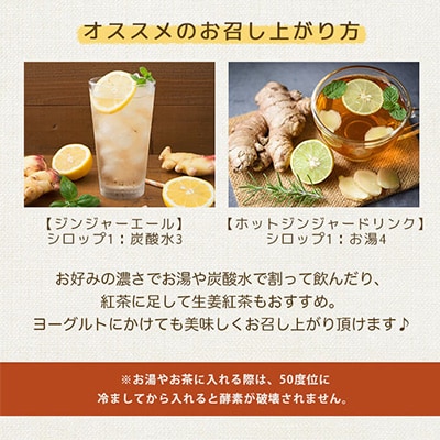 発酵ジンジャーシロップ&塩麹A7-11