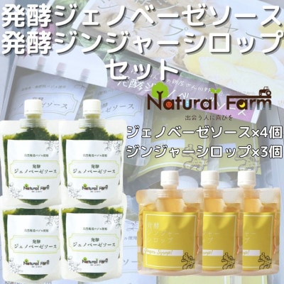 発酵ジェノベーゼソース×発酵ジンジャーシロップ(計7個セット)C0-71