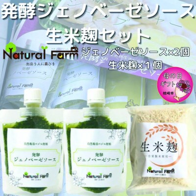 【母の日】発酵ジェノベーゼソース&生米麹　A3-9M
