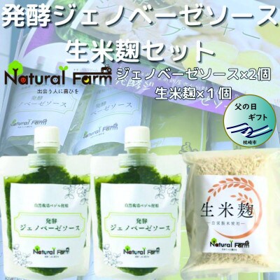 【父の日】発酵ジェノベーゼソース&生米麹　A3-9F