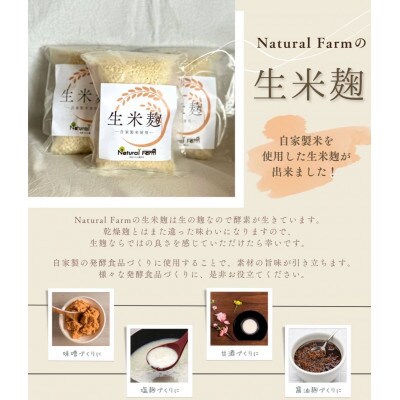 【父の日】発酵ジェノベーゼソース&生米麹　A3-9F