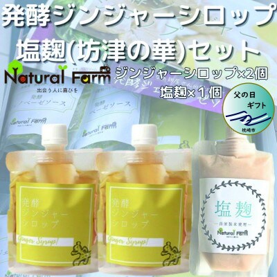 【父の日】発酵ジンジャーシロップ&塩麹A7-11F