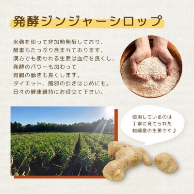 【敬老の日】発酵ジンジャーシロップ(150g×3)【優しい甘さの生姜シロップ】A7-12K