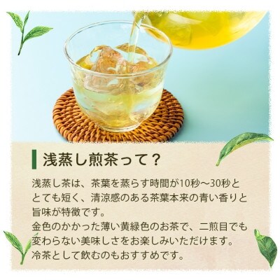 【2025年産】浅蒸し煎茶(100g×2袋)【若蒸し煎茶】【合計200g】A0-69