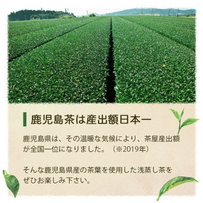 【2025年産】浅蒸し煎茶(50g×4袋)【若蒸し煎茶】【合計200g】A0-68