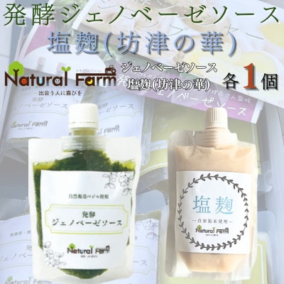発酵ジェノベーゼソース&塩麹　各1パックセット A1-7