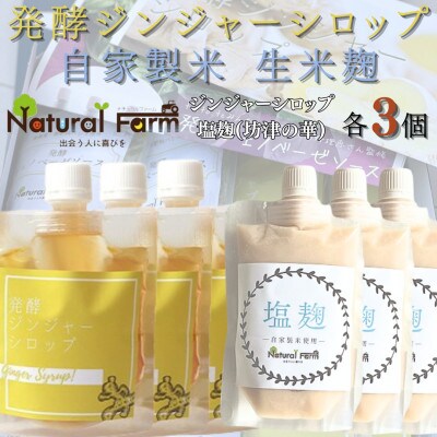 発酵ジンジャーシロップ&塩麹　各3パックセット B8-25