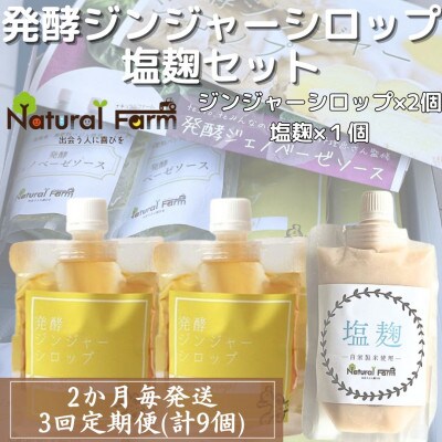 【2ヵ月毎定期便】発酵ジンジャーシロップ&塩麹 全3回 LL-6031