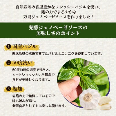【2ヵ月毎定期便】ジェノベーゼソース(150g×8個) 枕崎産バジル使用 全6回 HH-6012