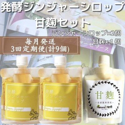 【毎月定期便】ジンジャーシロップ&甘麹 全3回 LL-6028
