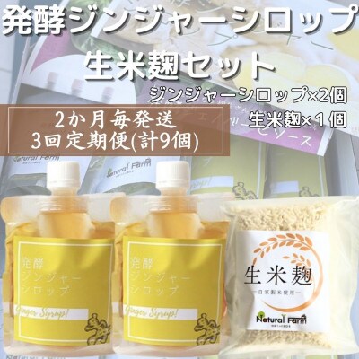 【2ヵ月毎定期便】ジンジャーシロップ&生米麹 全3回 LL-6023