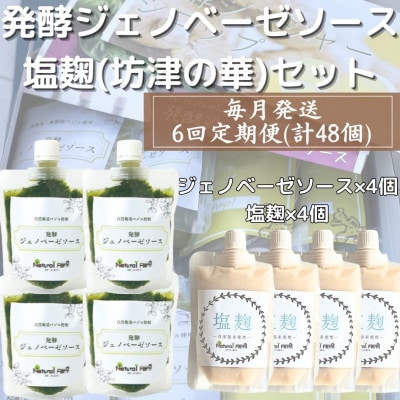 【毎月定期便】ジェノベーゼソース&塩麹(計8個)セット 全6回 HH-6006
