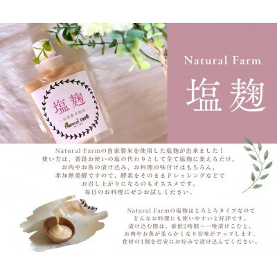 【2ヵ月毎定期便】ジェノベーゼソース&塩麹(計8個)セット 全6回 HH-6005