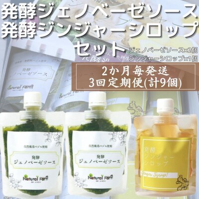 【2ヵ月毎定期便】ジェノベーゼソース×発酵ジンジャーシロップ 全3回 LL-6019