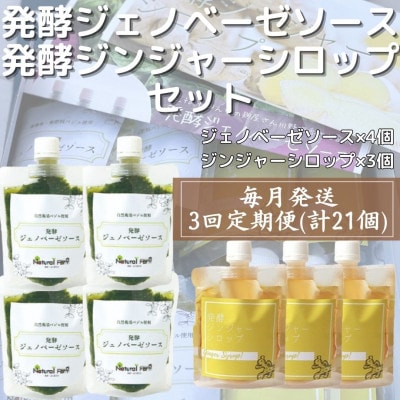 【毎月定期便】ジェノベーゼソース×発酵ジンジャーシロップ(計7個セット) 全3回 NN-2004
