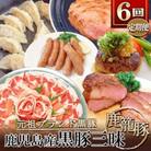 【発送月固定定期便】鹿児島県産黒豚三昧Bセット GG5-0001全6回