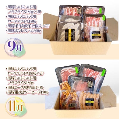 【発送月固定定期便】鹿児島県産黒豚三昧Bセット GG5-0001全6回