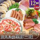 【発送月固定定期便】鹿児島県産黒豚三昧 HH-2全12回