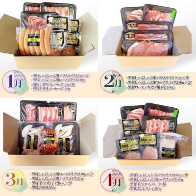 【発送月固定定期便】鹿児島県産黒豚三昧 HH-2全12回