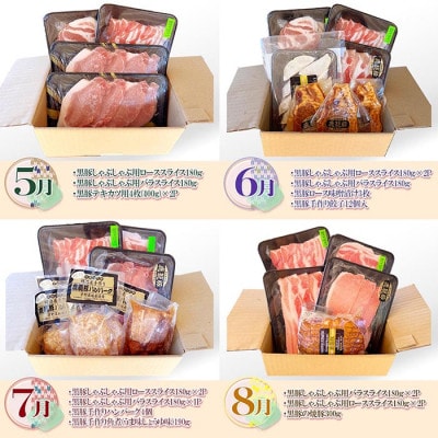 【発送月固定定期便】鹿児島県産黒豚三昧 HH-2全12回