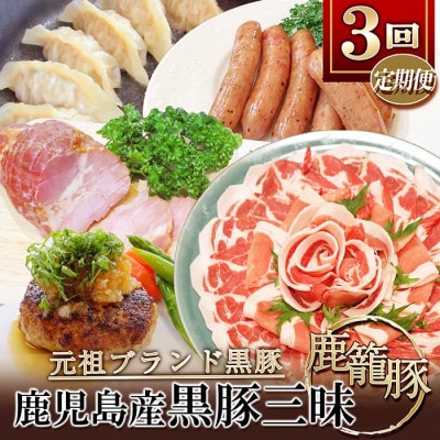 【発送月固定定期便】鹿児島県産黒豚三昧Aセット DD0-0010全3回