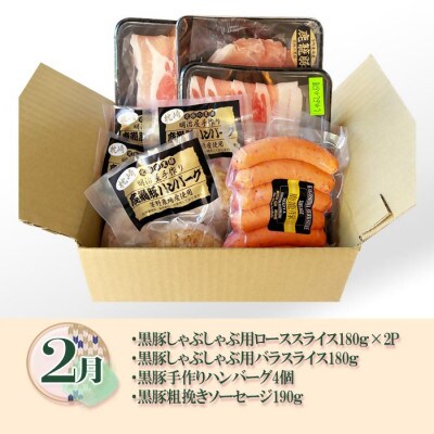 【発送月固定定期便】鹿児島県産黒豚三昧Aセット DD0-0010全3回
