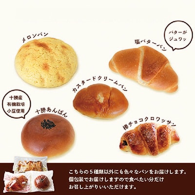 【2ヵ月毎定期便】森のパン おまかせ 焼き立てパン 詰め合わせ【17～18個】全6回FF-6001 