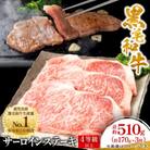 【鹿児島県産】黒毛和牛 サーロインステーキ 約510g (約170g×3枚)(枕崎市) B3-89