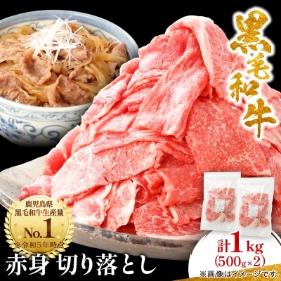 【鹿児島県産】黒毛和牛 赤身 切り落とし 1kg (500g×2)(枕崎市)  A8-111