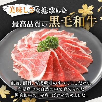 【鹿児島県産】黒毛和牛 赤身 切り落とし 1kg (500g×2)(枕崎市)  A8-111