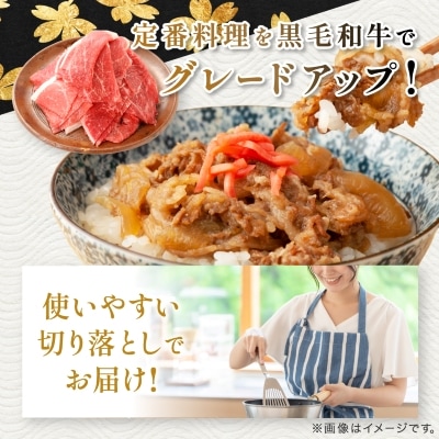 【鹿児島県産】黒毛和牛 赤身 切り落とし 1kg (500g×2)(枕崎市)  A8-111