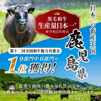 【鹿児島県産】黒毛和牛 赤身 切り落とし 1kg (500g×2)(枕崎市)  A8-111