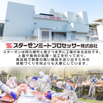鹿児島県産 経産牛 切り落とし&訳あり!豚切り落とし 計約3.2kg(枕崎市) B2-17