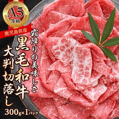 A5等級鹿児島県産黒毛和牛大判切落し(枕崎市) A0-78