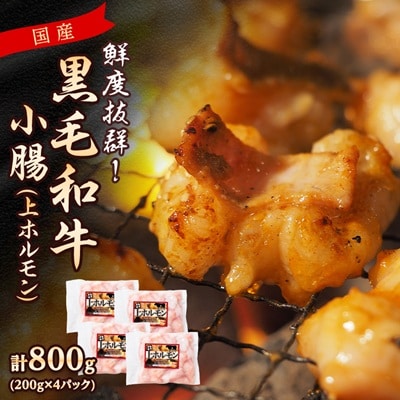 国産黒毛和牛小腸(上ホルモン)800g(200g×4パック)(枕崎市) Z0‐57