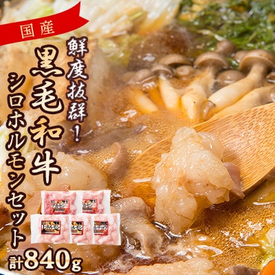 国産黒毛和牛シロホルモンセット　840g A3-383