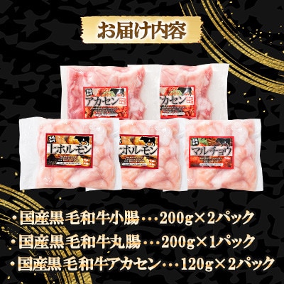 国産黒毛和牛シロホルモンセット　840g A3-383