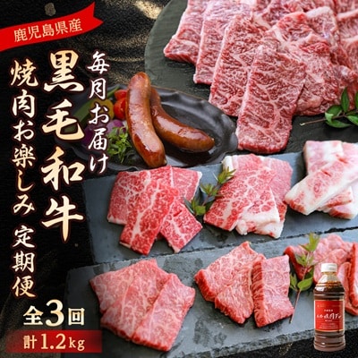 【毎月定期便】黒毛和牛焼肉お楽しみ定期便1.2kg(枕崎市) DD0-0029 全3回