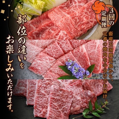 【毎月定期便】黒毛和牛焼肉お楽しみ定期便1.2kg(枕崎市) DD0-0029 全3回