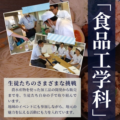 水産高校生考案　枕崎かつおラーメン2人前×4袋　和風しお味　液体スープ付　コンパクトサイズW0-11