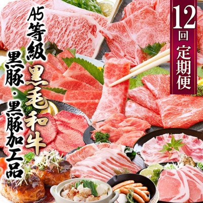 お肉の定期便(12回)枕崎お楽しみ便(A5等級黒毛和牛・黒豚・黒豚加工品etc) KK-6003