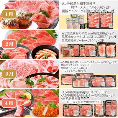 お肉の定期便(12回)枕崎お楽しみ便(A5等級黒毛和牛・黒豚・黒豚加工品etc) KK-6003