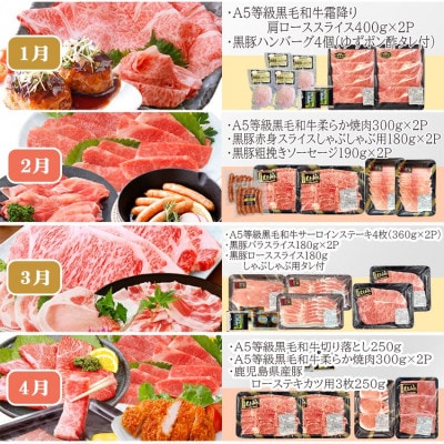 お肉の定期便(12回)枕崎お楽しみ便(A5等級黒毛和牛・黒豚・黒豚加工品etc) KK-6003