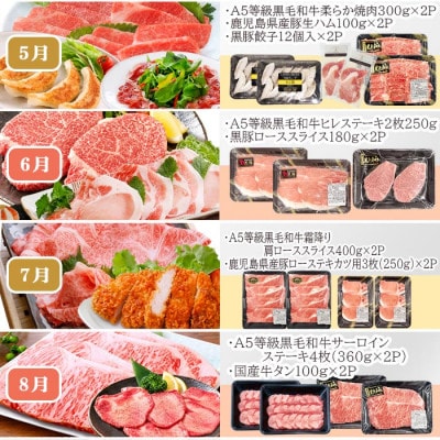 お肉の定期便(12回)枕崎お楽しみ便(A5等級黒毛和牛・黒豚・黒豚加工品etc) KK-6003
