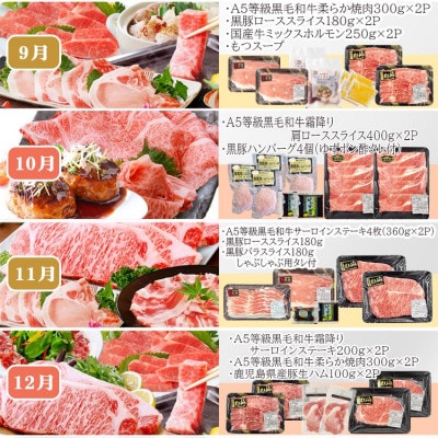 お肉の定期便(12回)枕崎お楽しみ便(A5等級黒毛和牛・黒豚・黒豚加工品etc) KK-6003